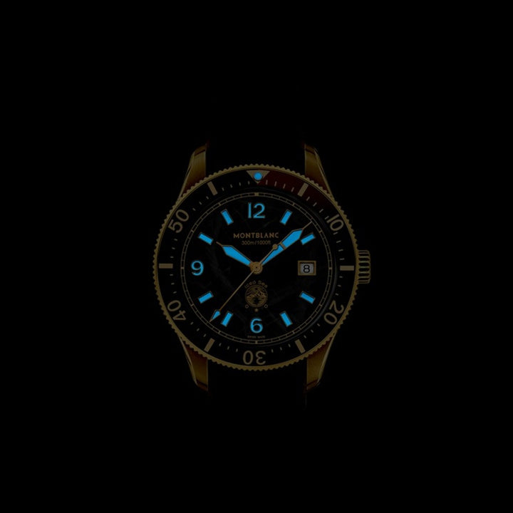 Iced Sea Automatic Date 41mm