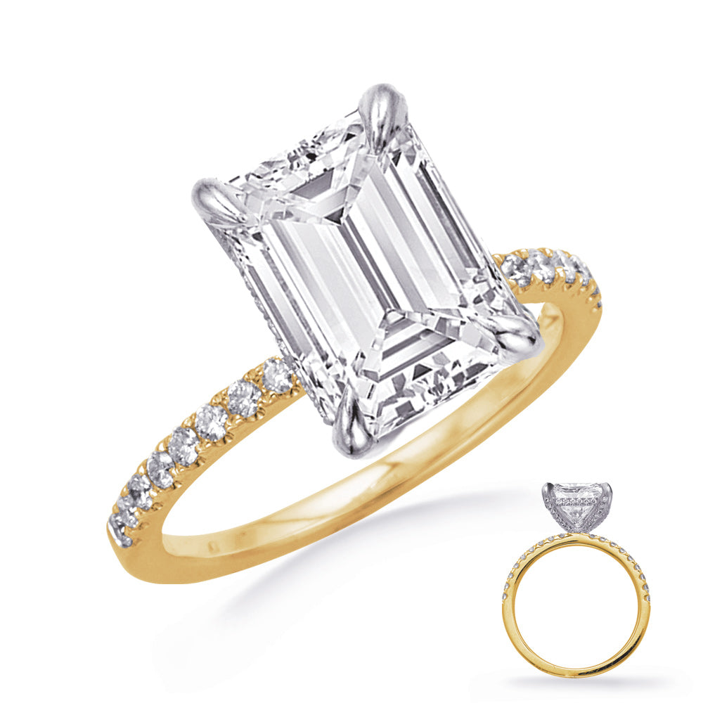 White & Yellow Gold Engagement Ring
