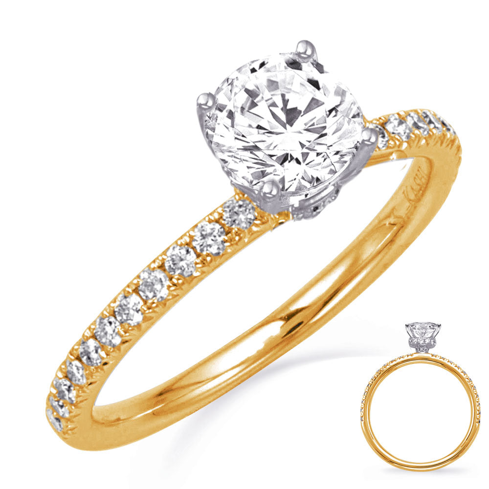 Yellow and White Gold Engagement Ring