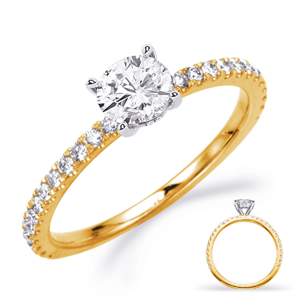 Yellow & White Gold Engagement Ring