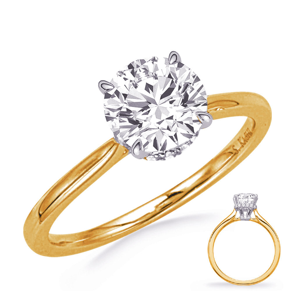 Yellow & white Gold Engagement Ring