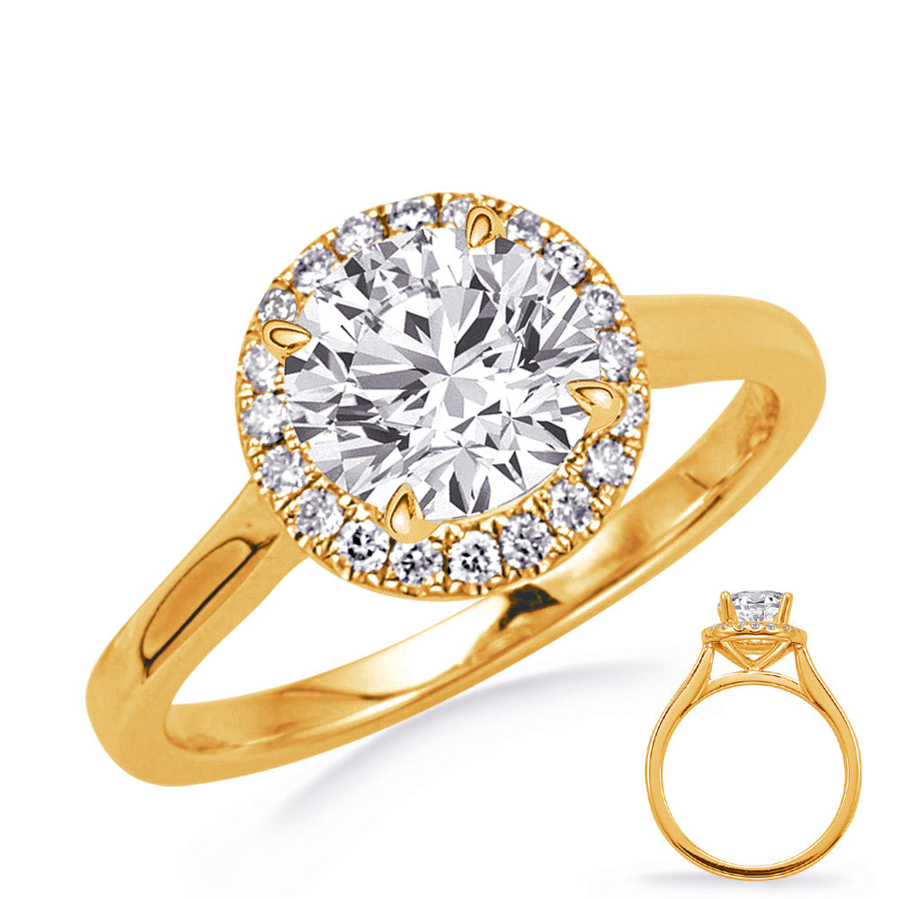 Yellow Gold Engagement Ring