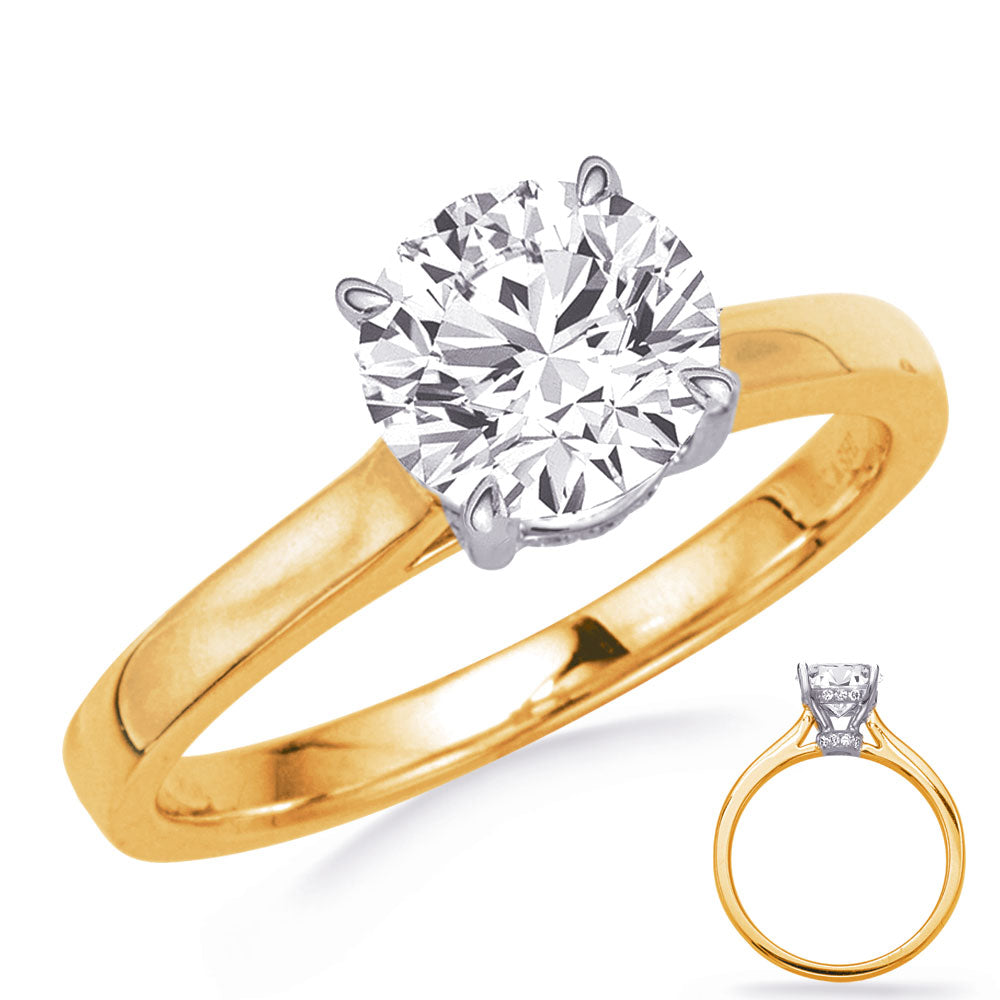 Yellow and White Gold Engagement Ring