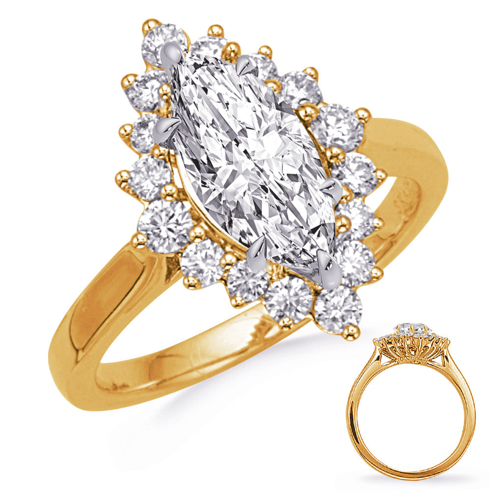 Yellow Gold Engagement Ring