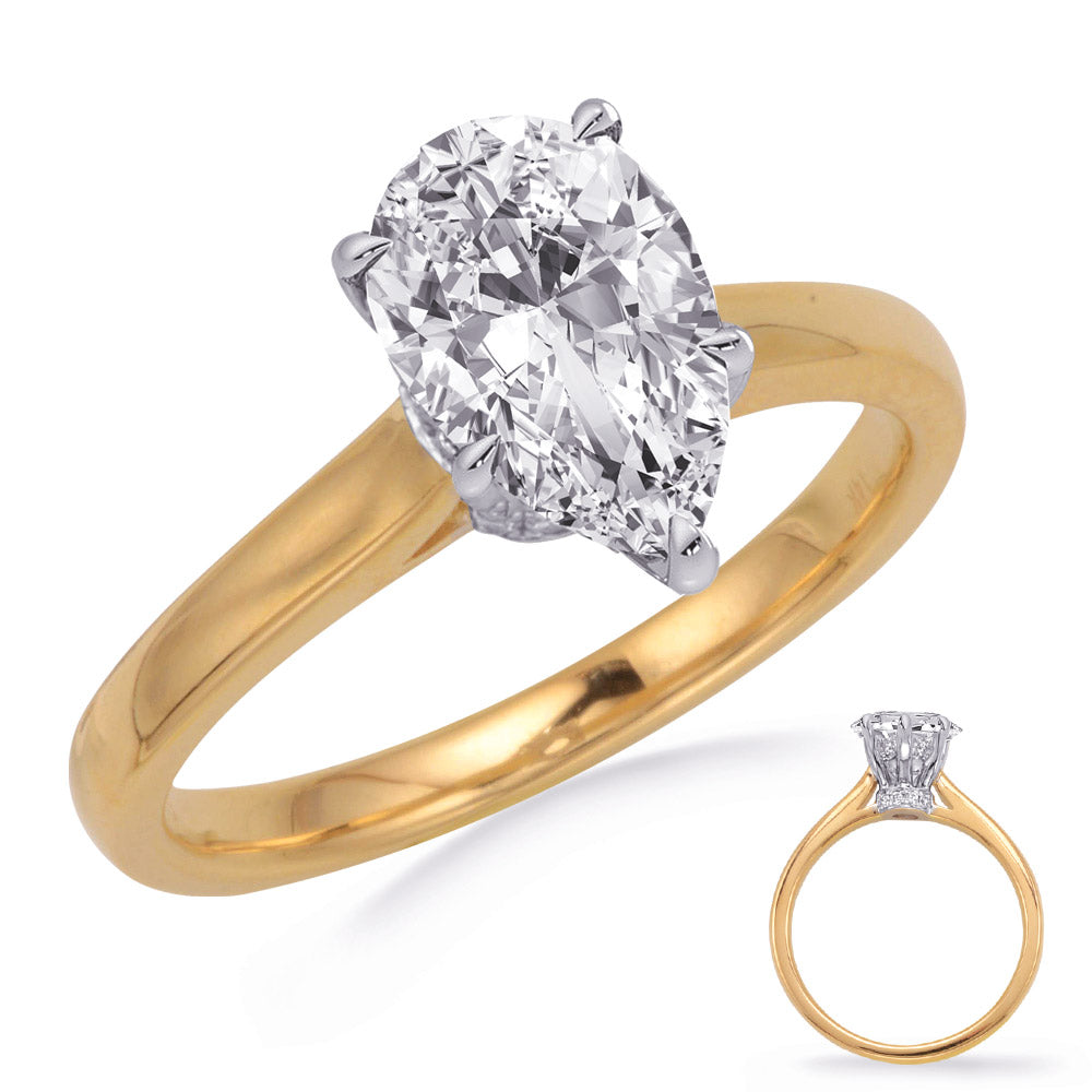 Yellow & White Gold Engagement Ring