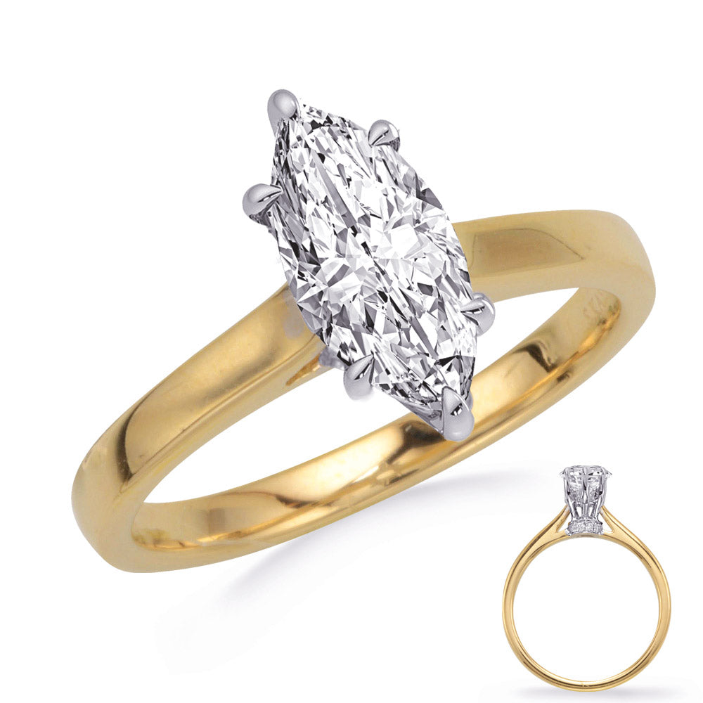 Yellow & White Gold Engagement Ring