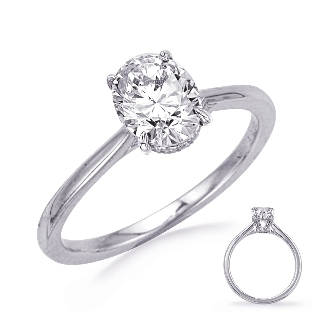 White Gold Engagement Ring