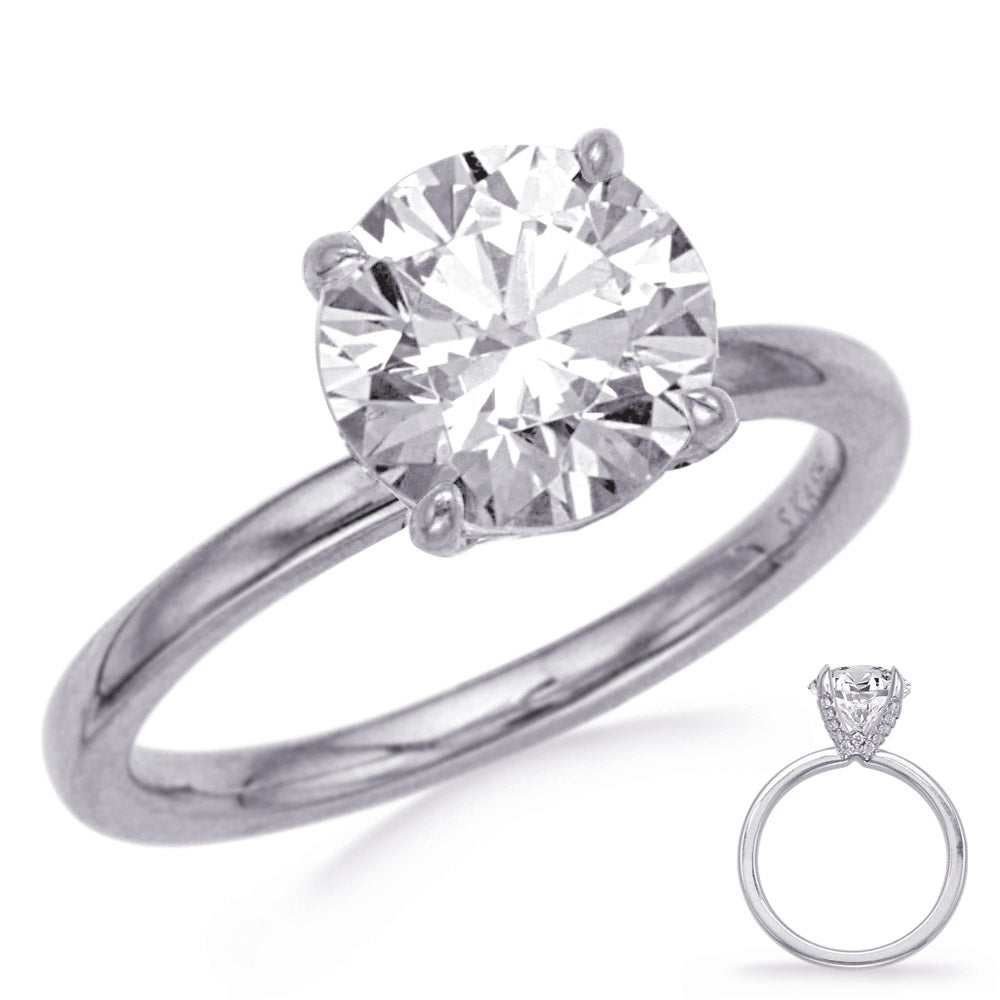 White Gold Engagement Ring