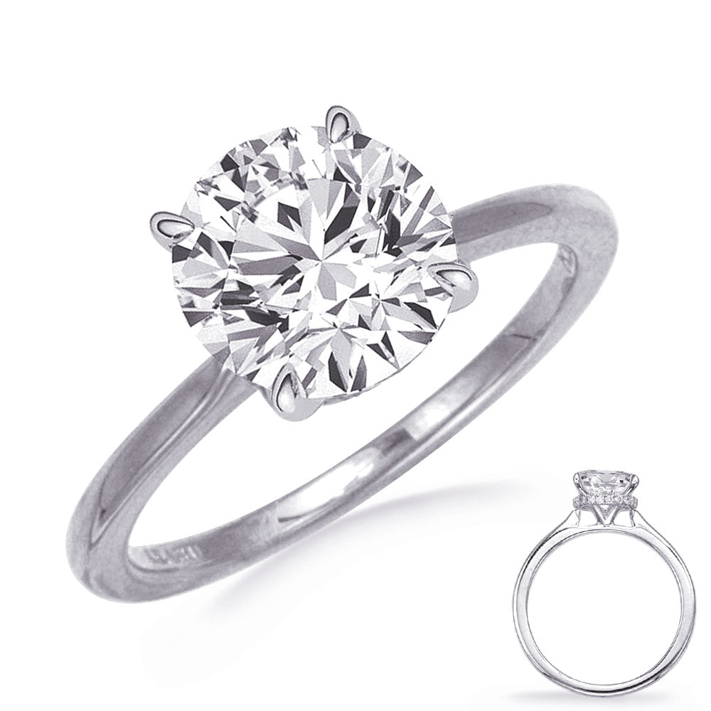 White Gold Engagement Ring