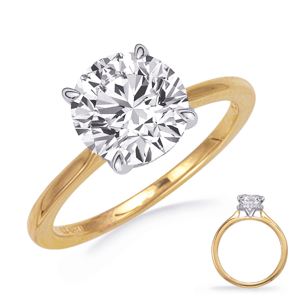 Yellow & White Gold Engagement Ring